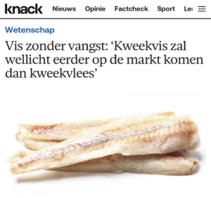 Artikel Knack